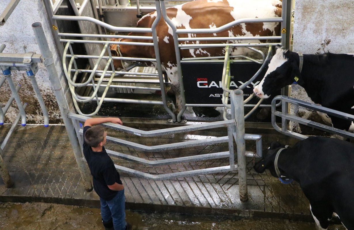 Robotics | Innovative Dairy Solutions